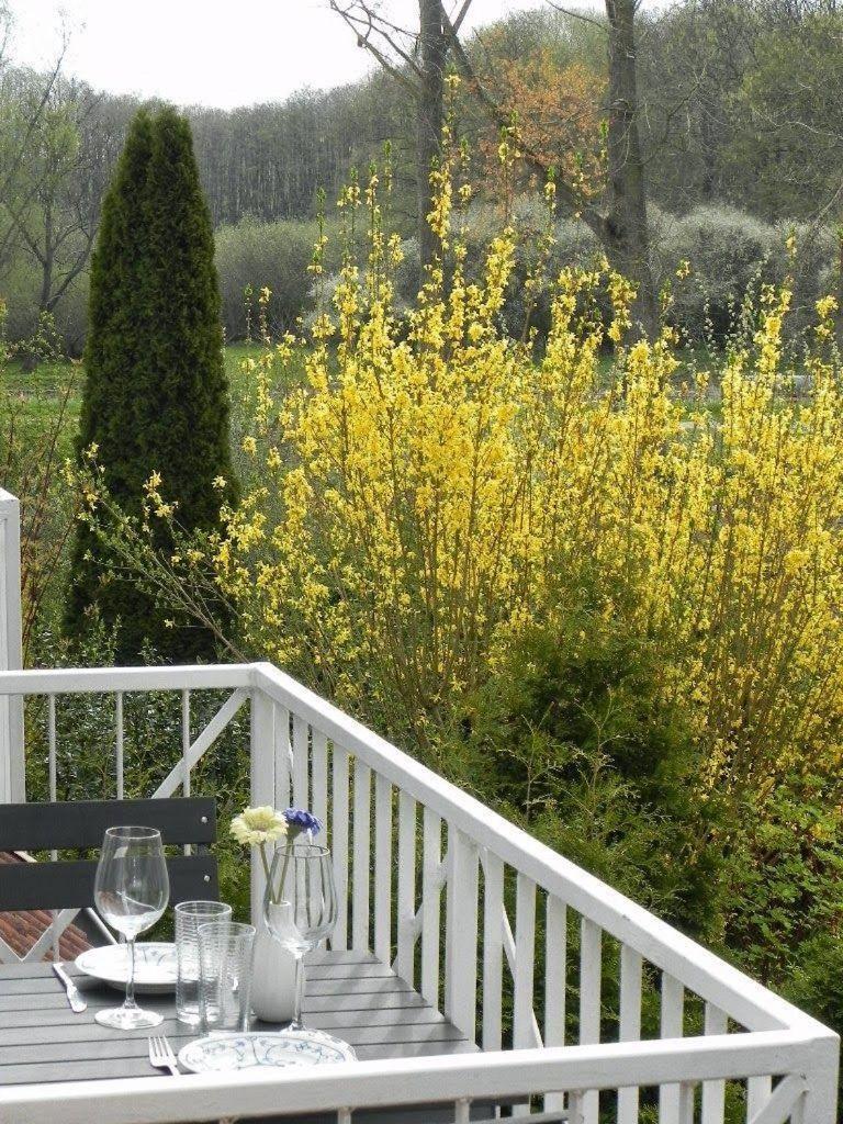 Ferienwohnung-Nils-Holgerson-Mit-Balkon-Zwischen-Strand-Wald-Wiese-Im-Suedosten-Der-Insel-Ruegen Gustow  Eksteriør billede